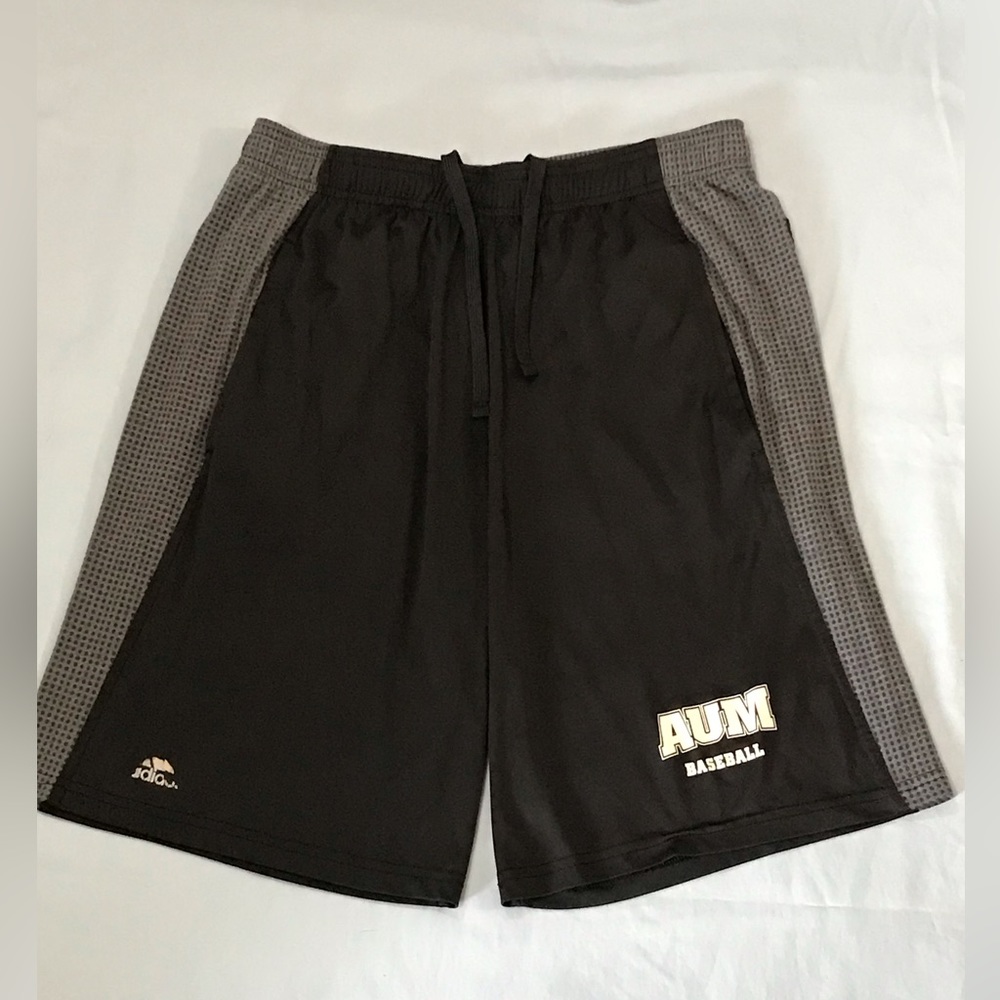 Mens Black & Gray Adidas Climacool Dri-Fit Athletic Shorts
Gym
AUM Baseball - Picture 9 of 15